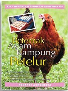 Cover Beternak Ayam Kampung Petelur / Redaksi AgroMedia