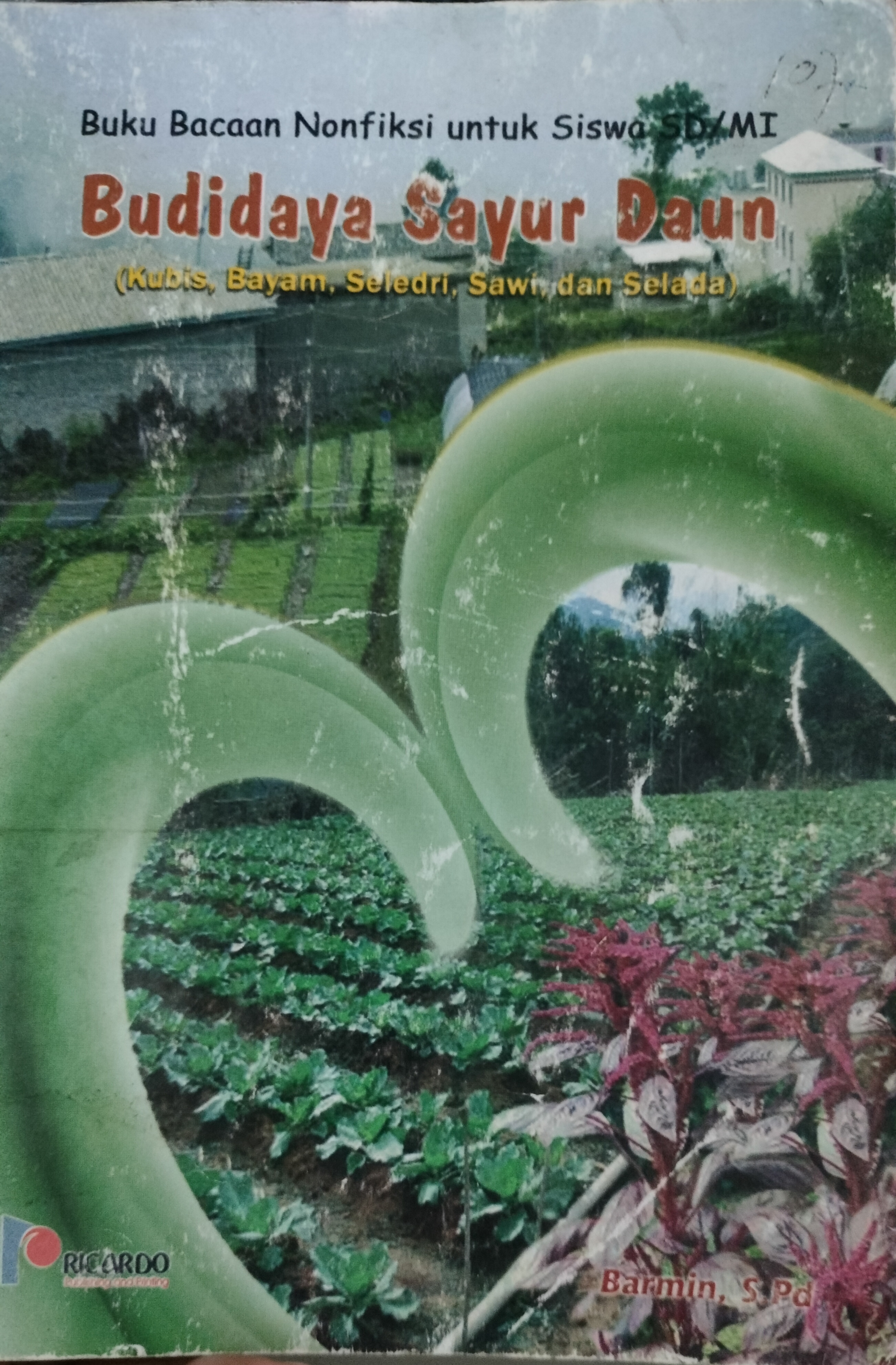 Cover Budidaya Sayur Daun :  Kubis, Bayam, Seledri, Sawi, dan Selada / Barmin