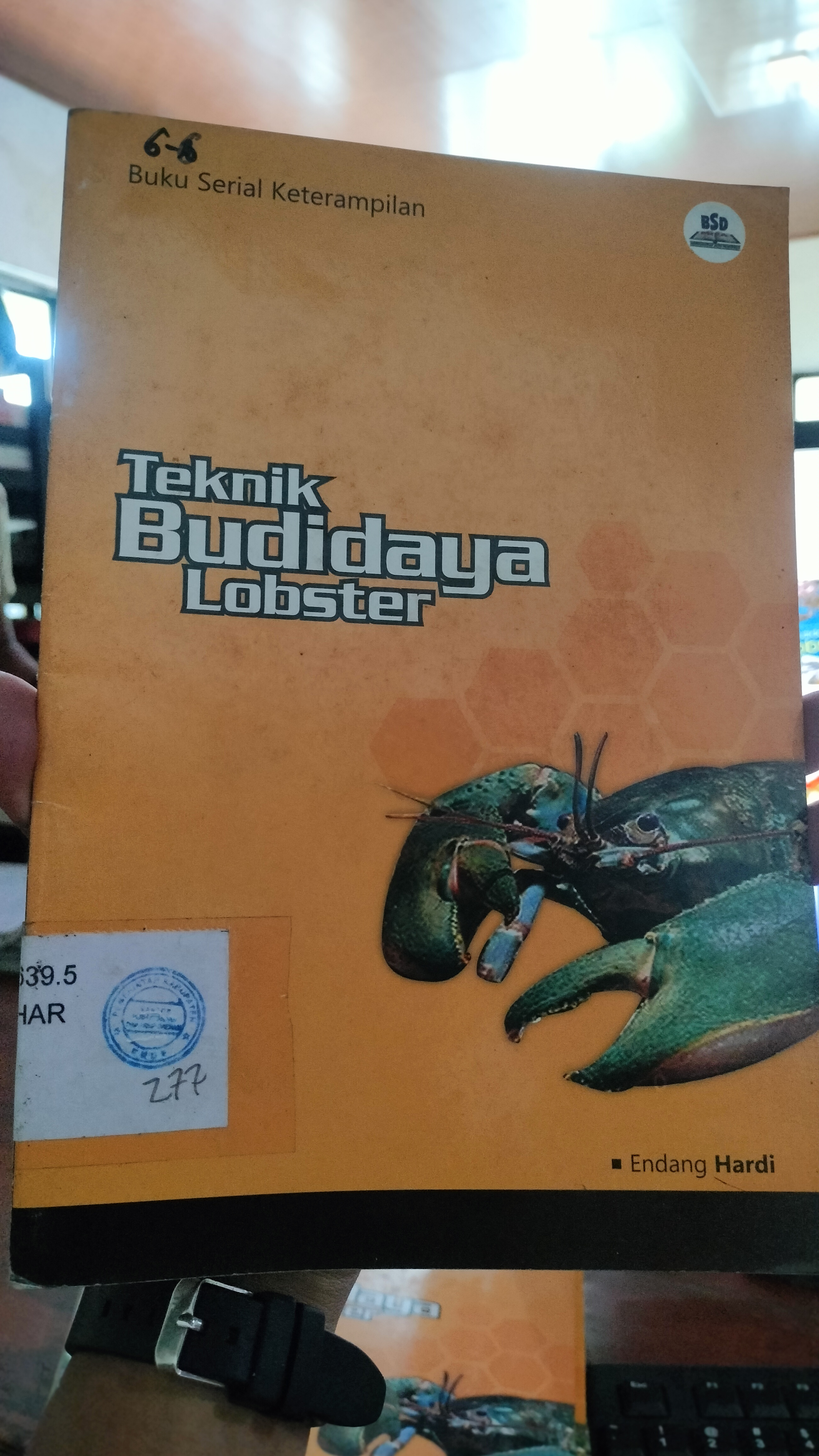 Cover Teknik Budaya Lobster / Hardi Endang