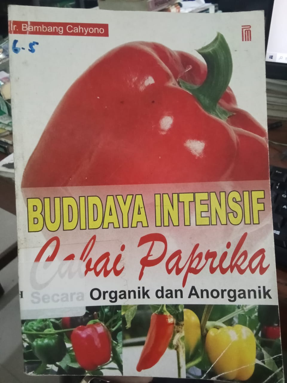 Cover Budidaya Intensif Cabai Paprika Secara Organik Dan Anorganik / Cahyono,Bambang