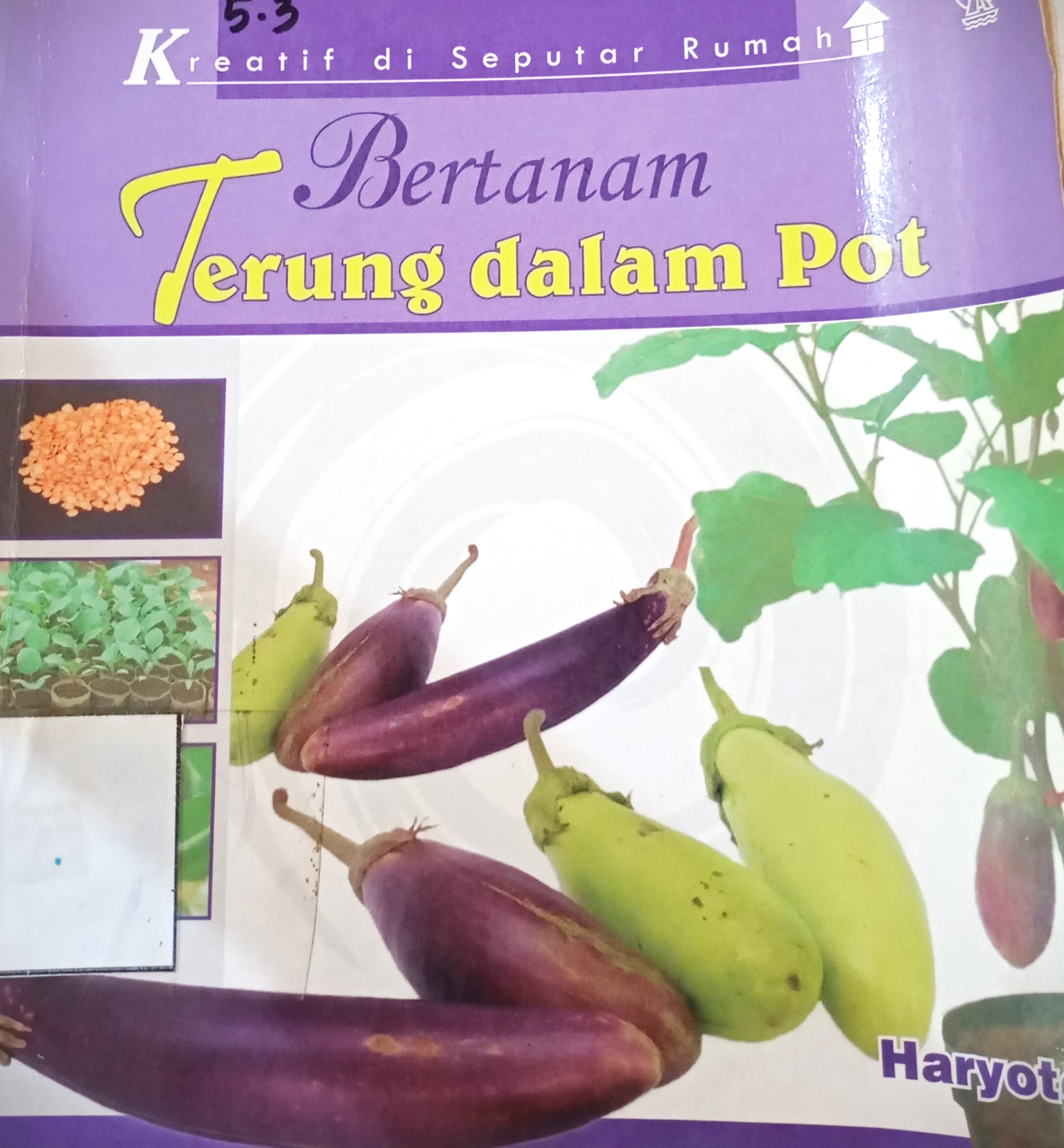 Cover Bertanam Terung Dalam Pot / Haryoto
