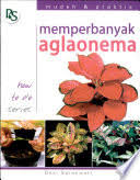 Cover Memperbanyak Aglaonema :  Saraswati Desi