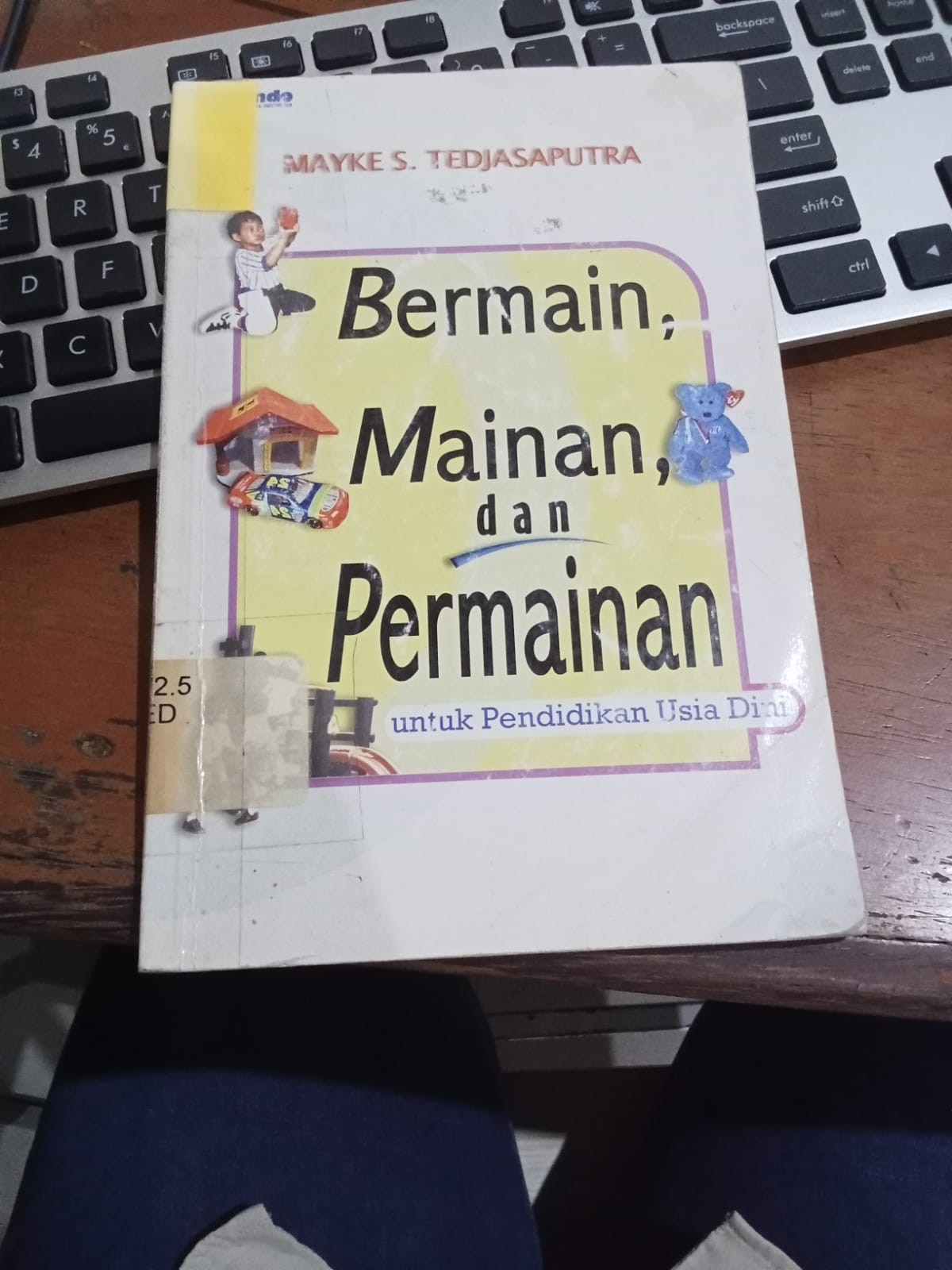 Cover Bermain, Mainan, dan Permainan :  Untukn Pendidikan Usia Dini / Mayke S. Tedjasaputra