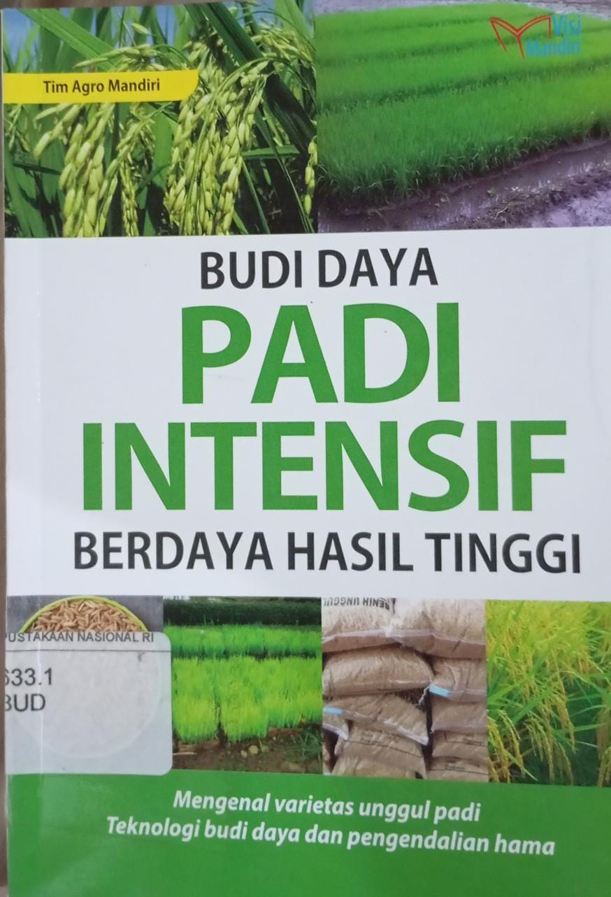 Cover Budi Daya Padi Intensif Berdaya Hasil Tinggi / Tim Agro Mandiri