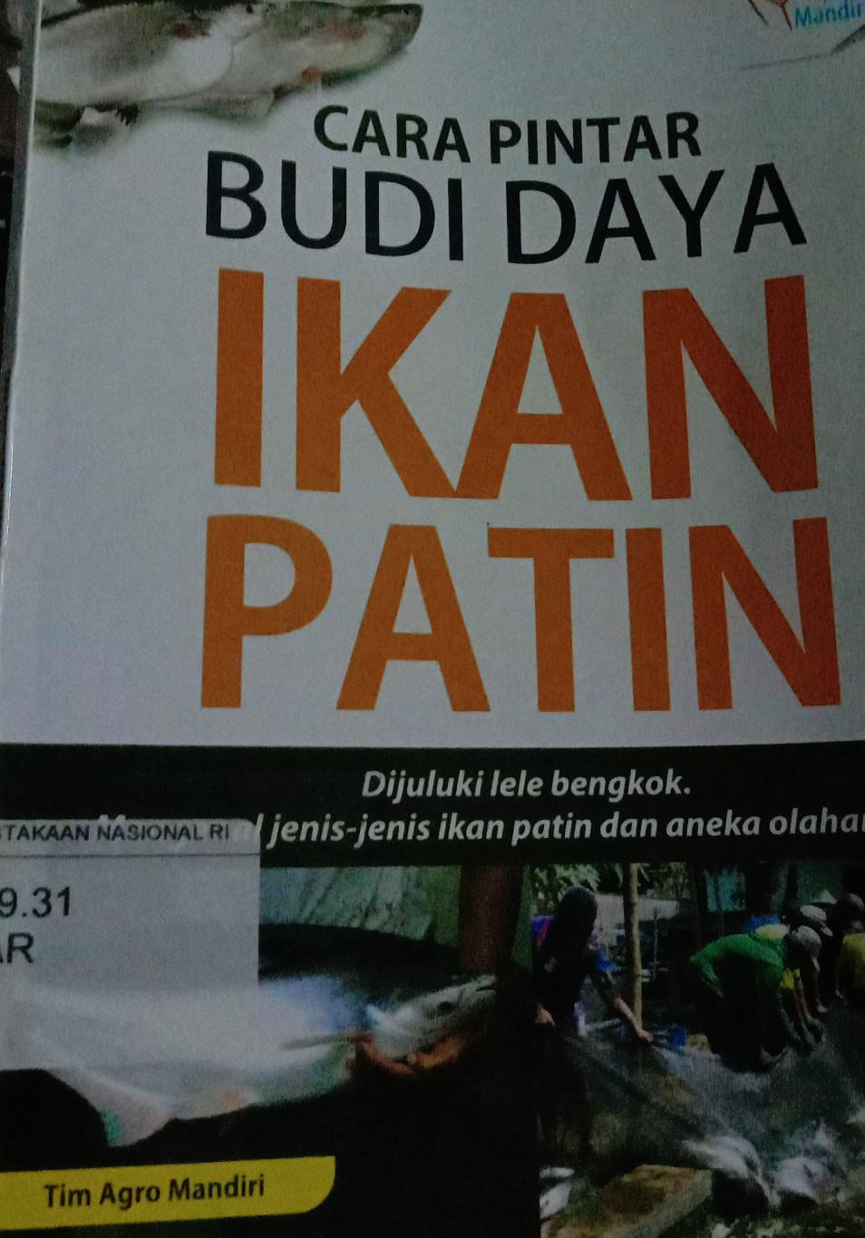 Cover Cara Pintar Budi Daya Ikan Patin / Tim Argo Mandiri