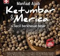 Cover Manfaat Ajaib Ketumbar Dan Merica / Ramadhani Ray