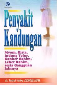 Cover Penyakit Kandungan / Yatim Faisal