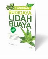 Cover Pandua Budidaya Lidah Buaya :  Maisarah