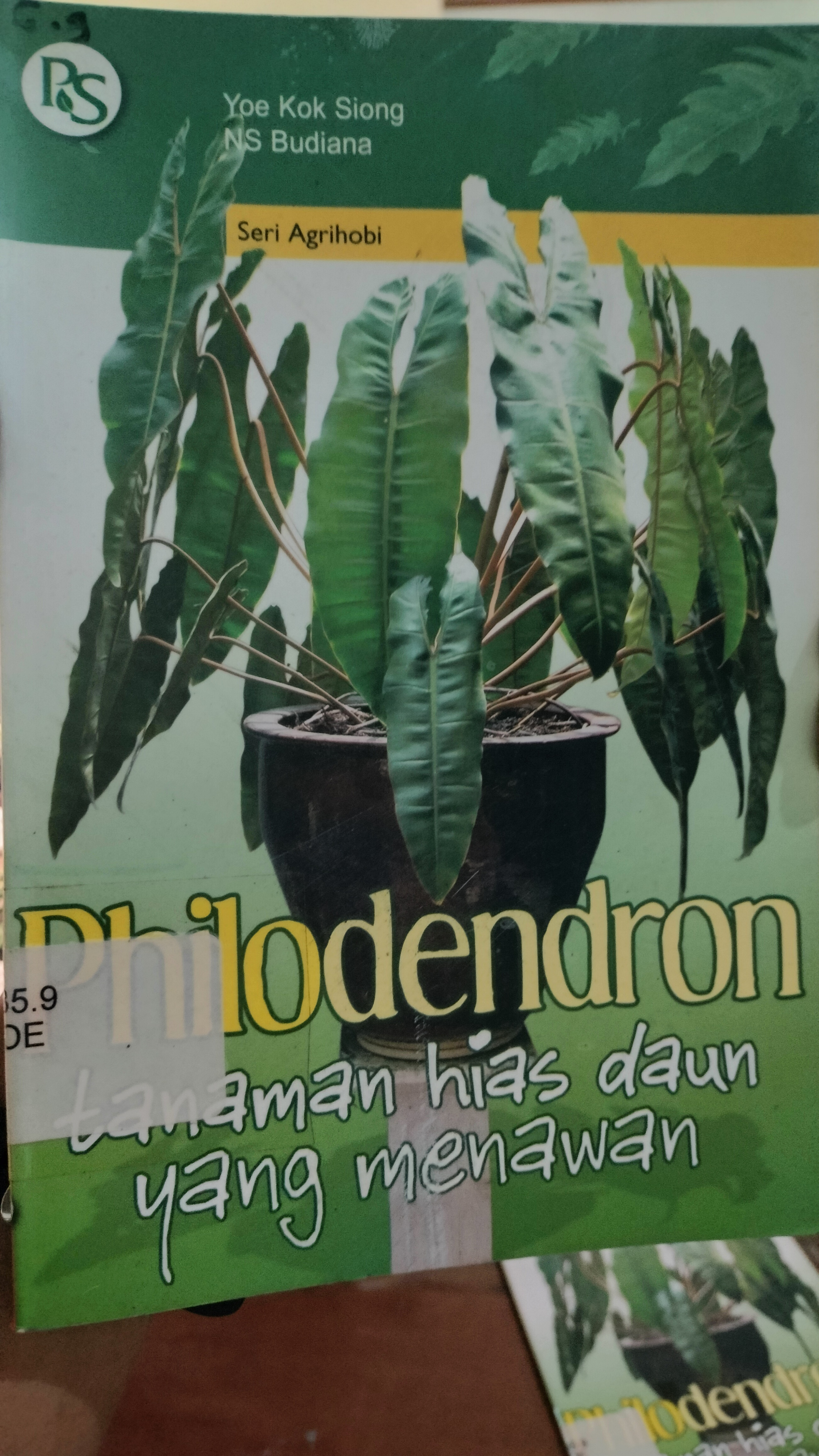 Cover Philodendron :  Tanaman Hias Daun yang Menawan / Yoe Kok Siong