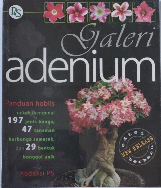 Cover Galeri Adenium / Redaksi PS