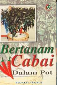 Cover Bertanam Cabai Dalam Pot / Redaksi Trubus