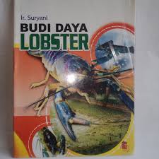 Cover Budi Daya Lobster / Suryani