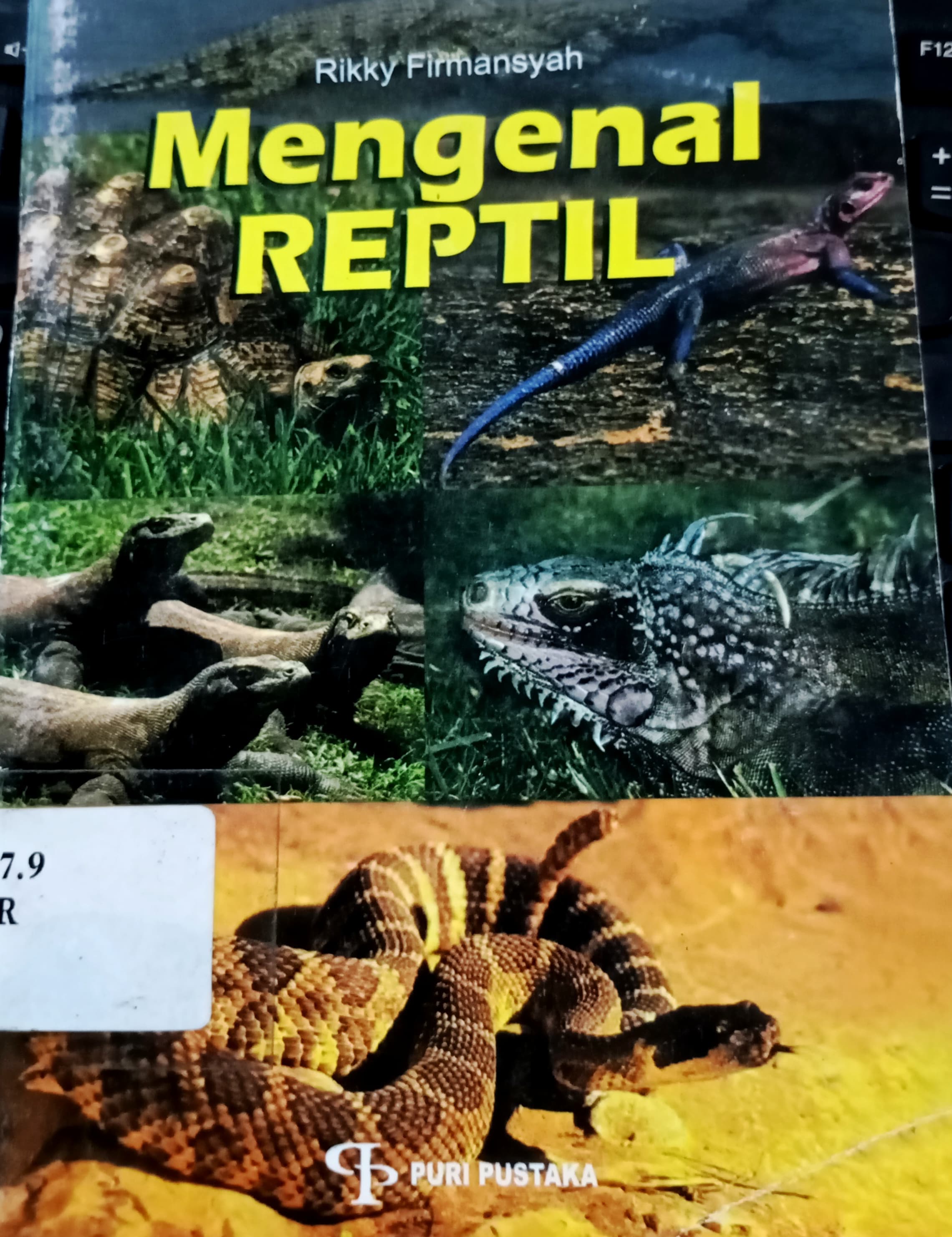 Cover Mengenal Reptil / Firmansyah, Rikky