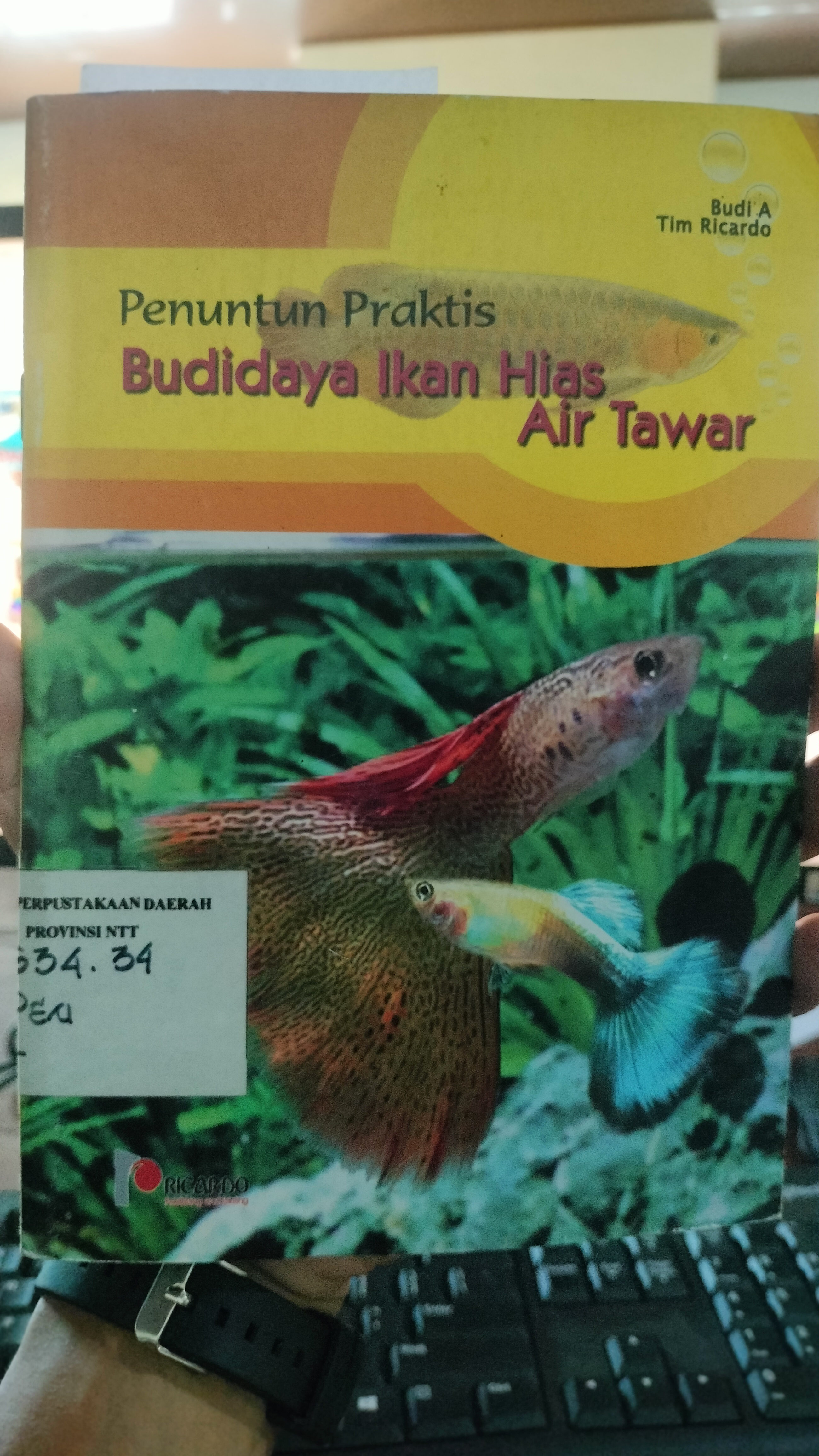 Cover Penuntun Praktis : Budi Daya Ikan Hias Air Tawar / Budi A.