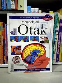 Cover Mempelajari Otak :  Mempelajari Bagian Dalam Kepala / Rebecca Treays