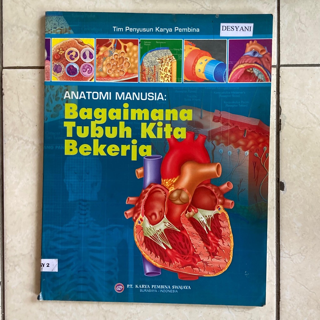 Cover Anatomi Manusia : Bagaimana Tubuh Kita Bekerja / Tim Penyusun Karya Pembina