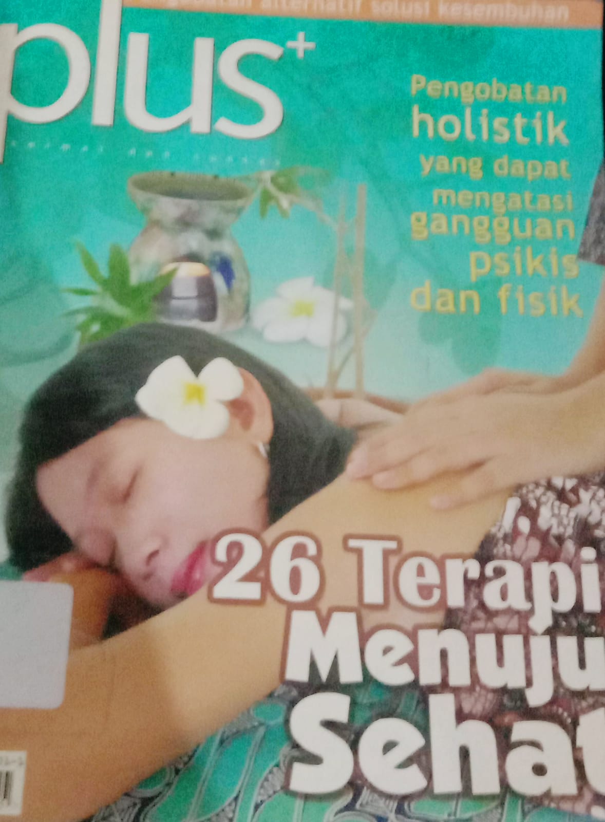 Cover Pengobatan  Alternatif Solusi Kesembuhan Plus Pengobatan Holistik Yang Dapat Mengatasi Gangguan Psikis dan Fisik / 26 Terapi Menuju Sehat