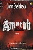 Cover Amarah = The of Wrath / Steinbeck, John