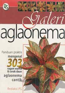 Cover Galeri Aglaonema / Redaksi Ps