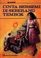Cover Cinta Bersemi Di Seberang Tembok / Bagin