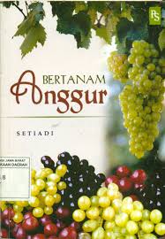 Cover Bertananm Anggur / Setiadi
