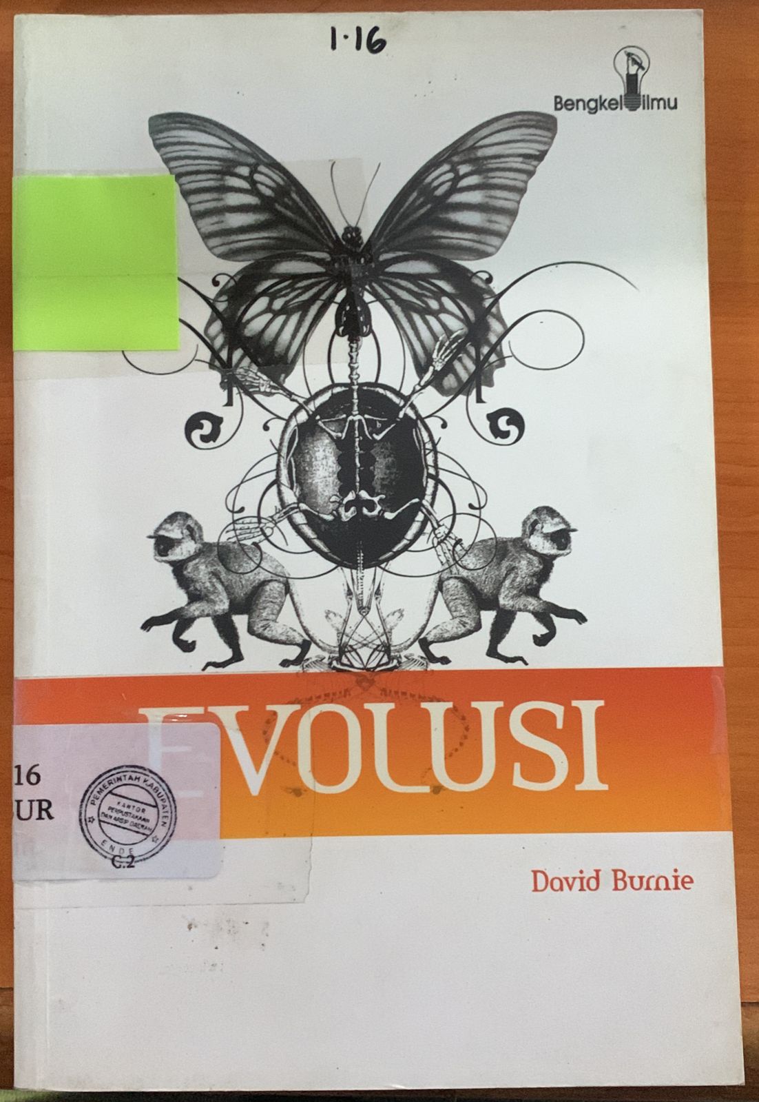 Cover Evolusi / David Burnie