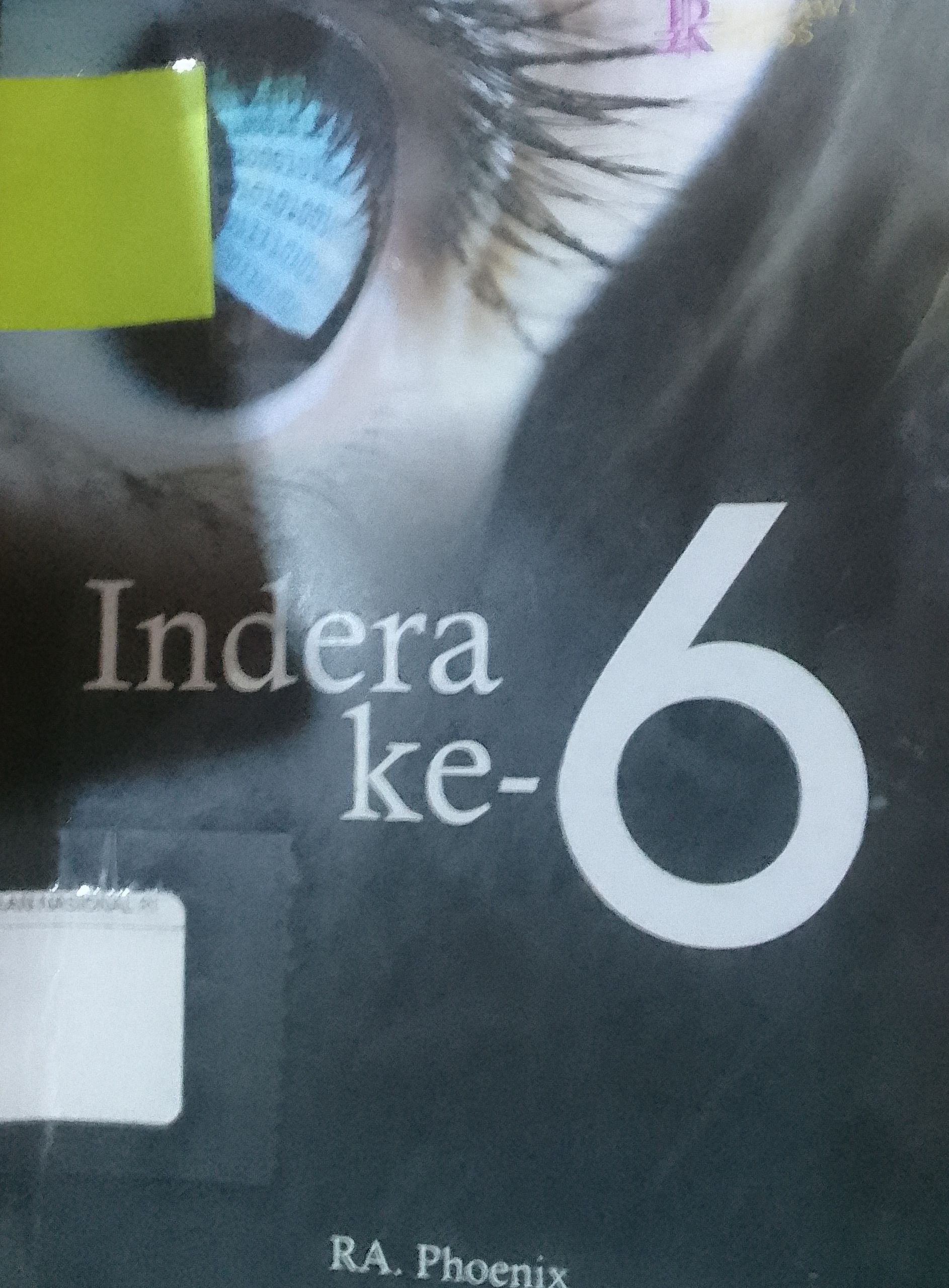 Cover Indera keenam