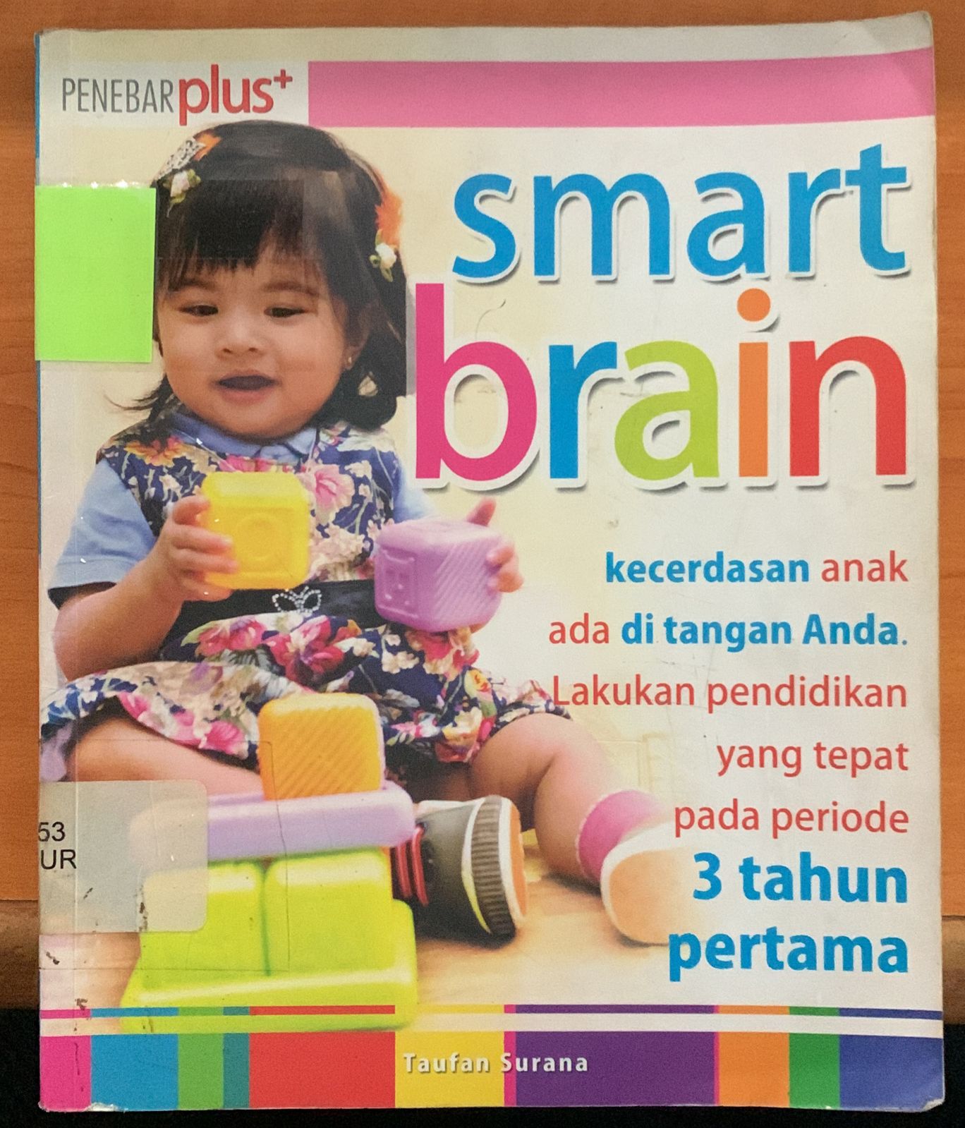 Cover Smart Brain / Taufan Surana
