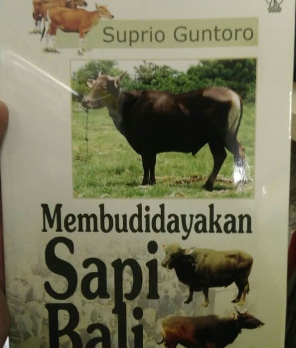 Cover Membudidayakn Sapi Bali / Guntoro, Suprio