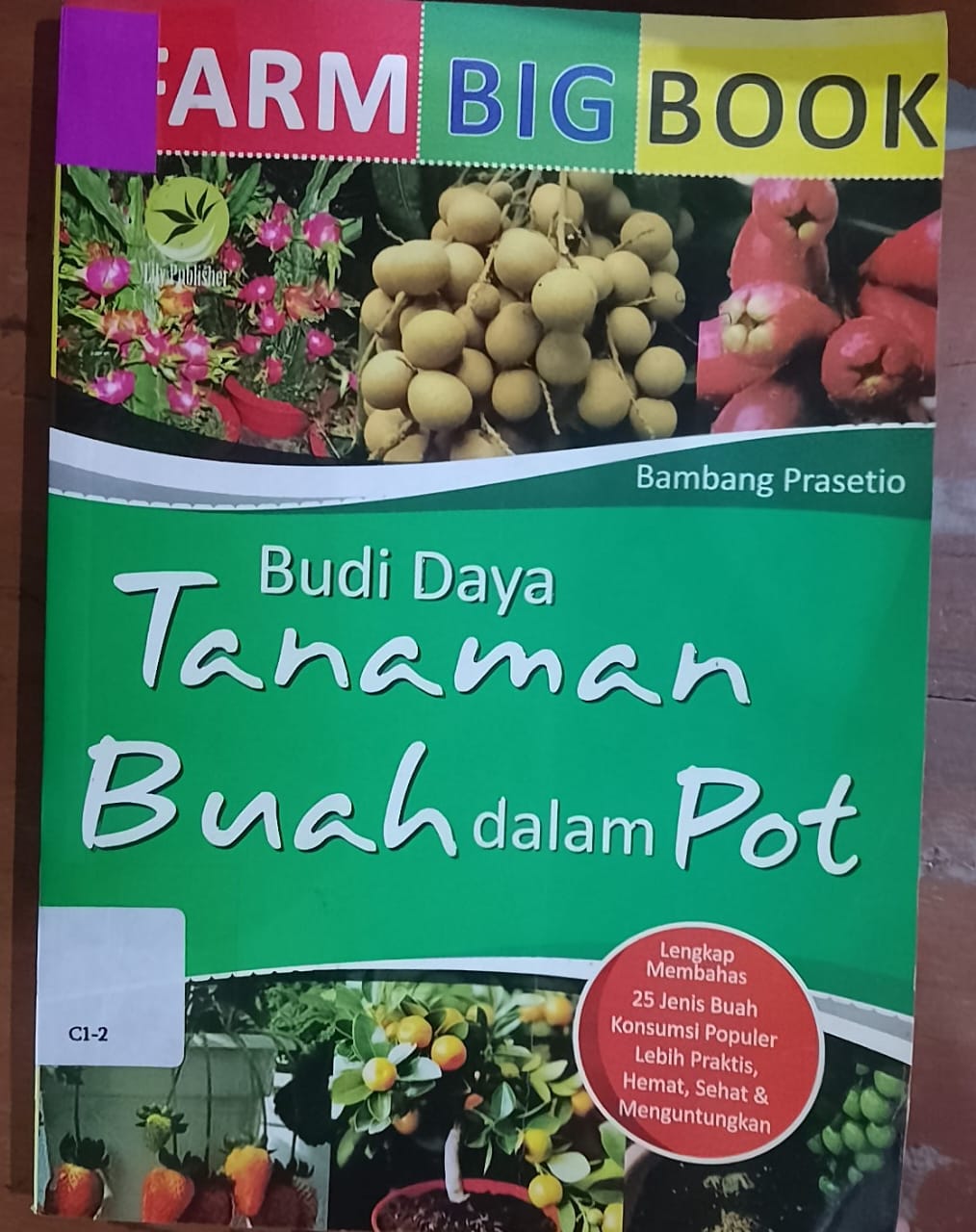 Cover Budidaya tanaman dalam pot / Prasetio,Bambang