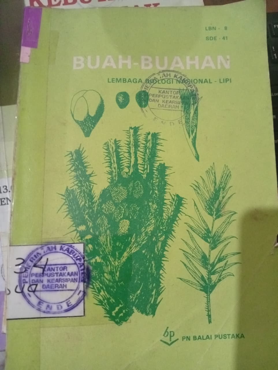 Cover Buah-Buahan / Lembaga Biologi Nasional -Lipi