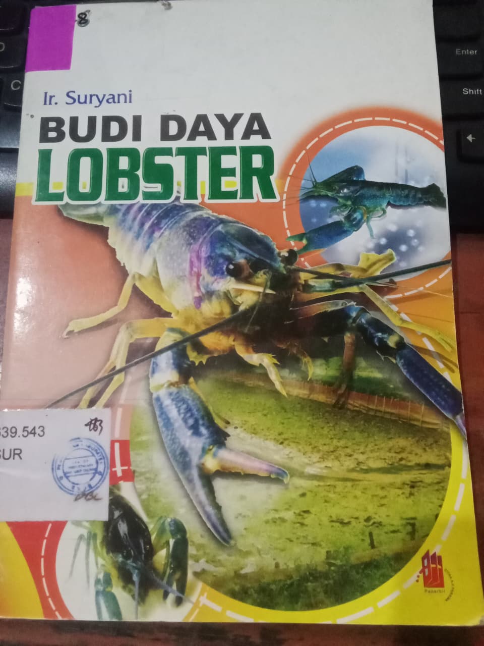 Cover Budi Daya Lobster / Suryani