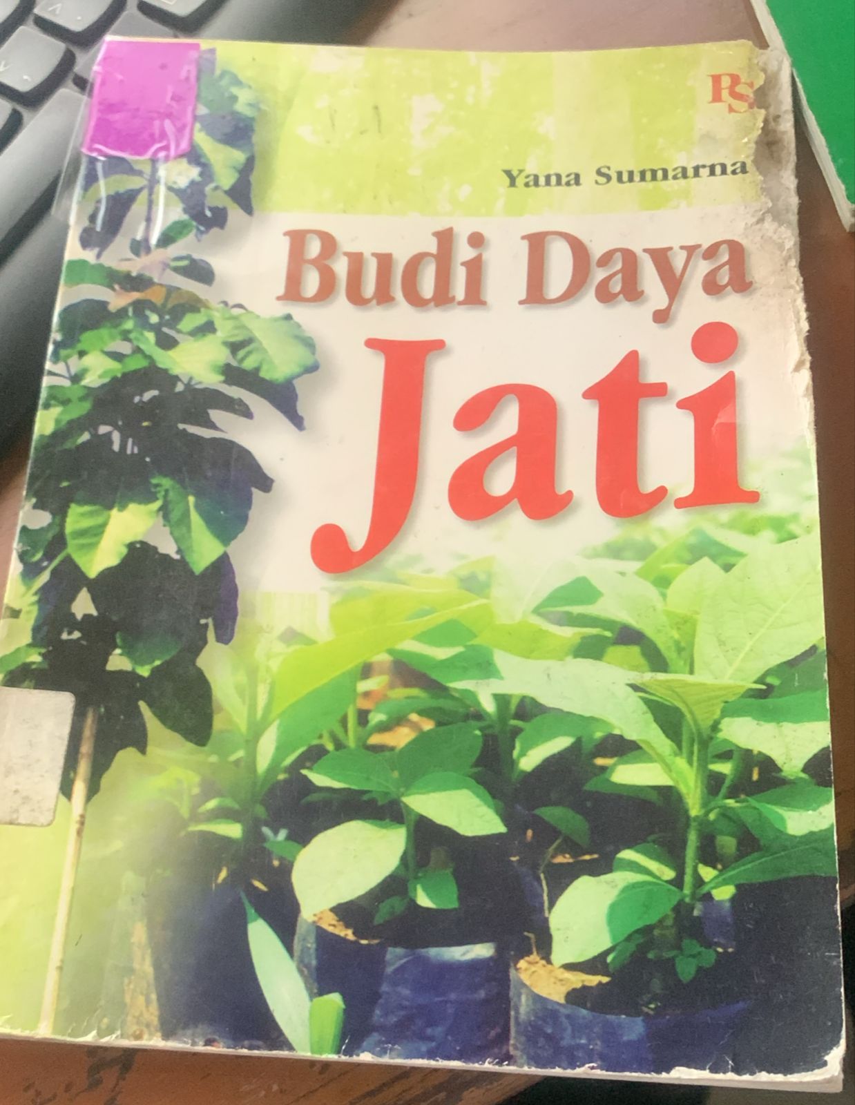 Cover Budi Daya Jati; / Sumarina, Yana