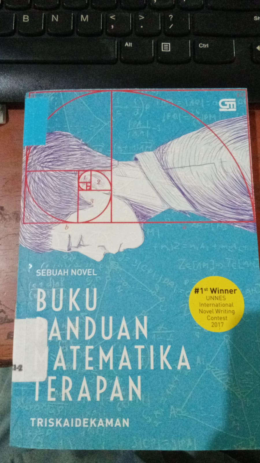 Cover Sebuah Novvel Buku Panduan Matematika Terapan / Triskaidekaman