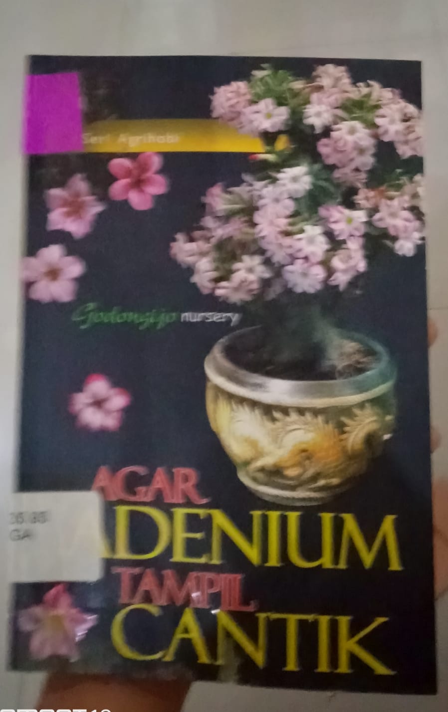 Cover agar adenium tampil cantik