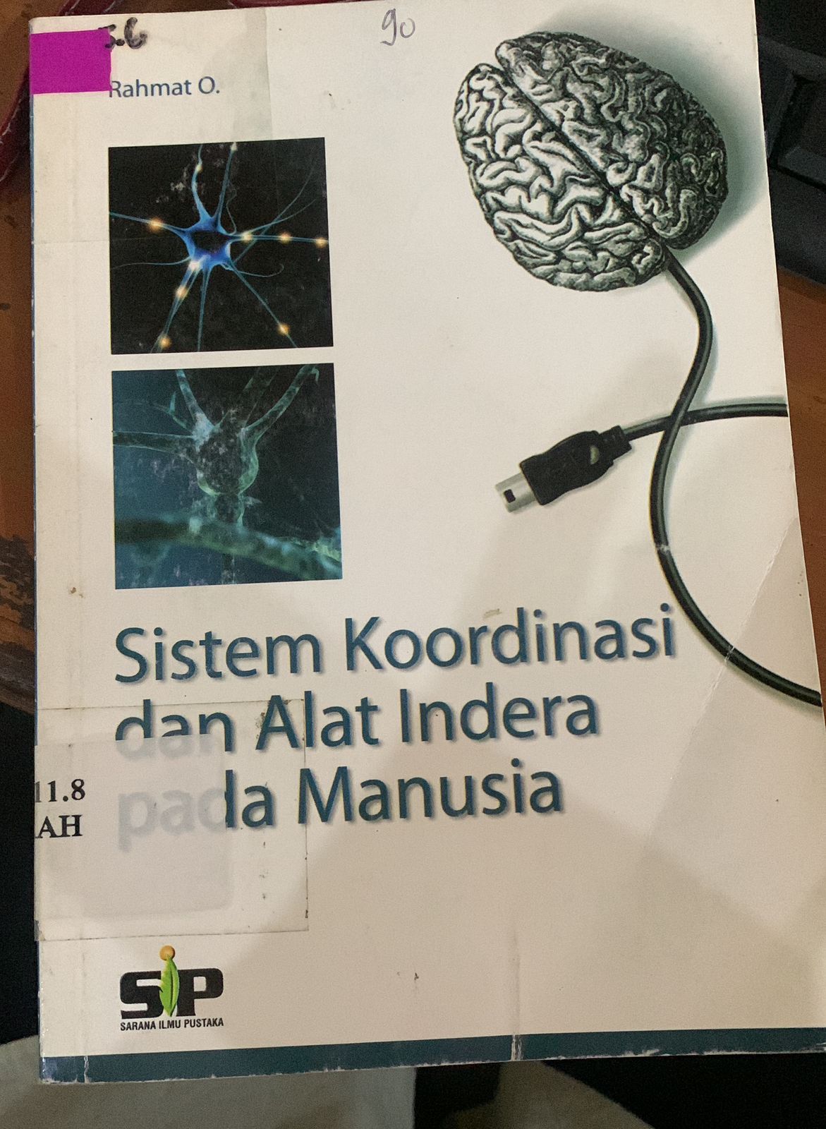 Cover Sistem Koordinasi Dan Alat Indra Indera Pada Manusia / Rahmat