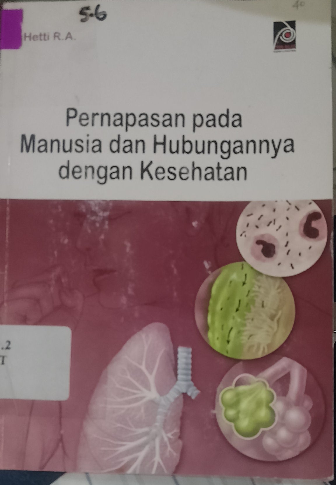 Cover Pernapasan Pada Manusia Dan Hubungannya Dengan Kesehatan / Hetti, R.A