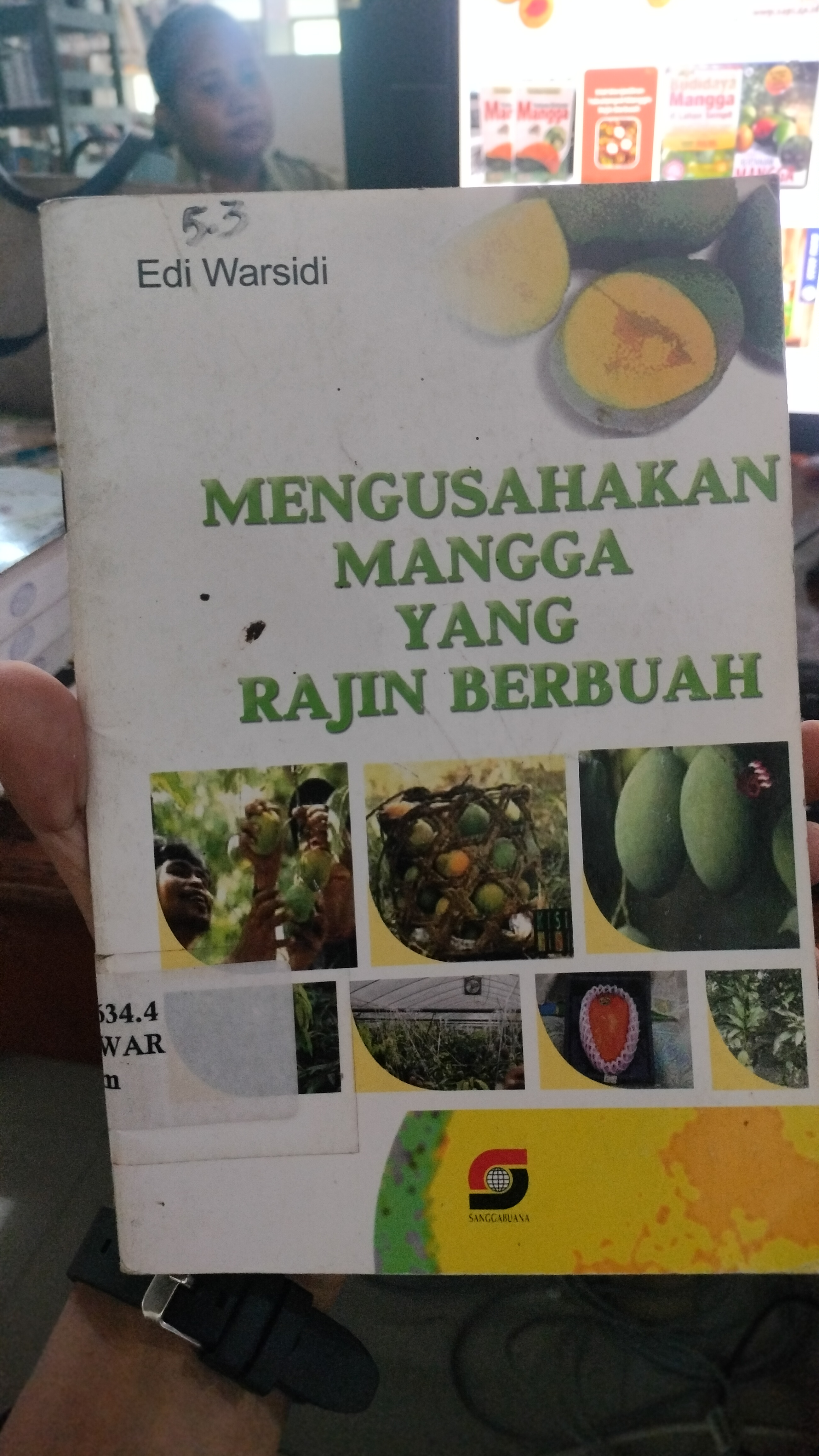 Cover Mengusahakan Mangga yang Rajin Berbuah / Warsidi Edi