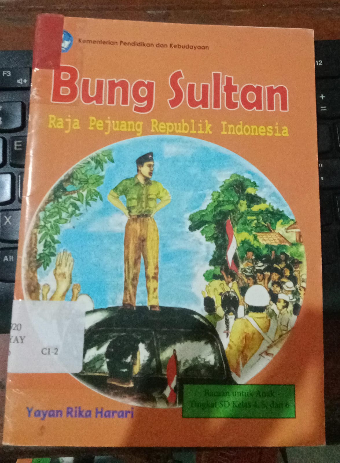 Cover Bung Sultan Raja Pejuang Republik Indonesia / Yayan Rika, Harari