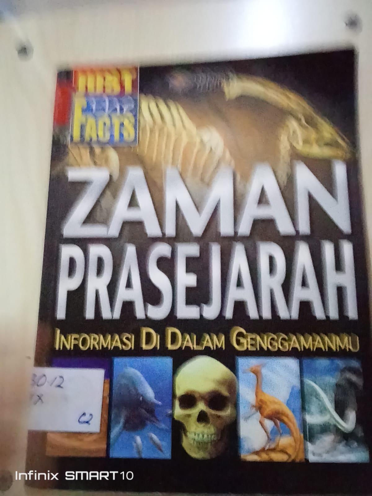 Cover Zaman Prasejarah / Daugaol Dixion