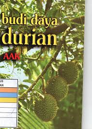 Cover Budi Daya Durian / AAK