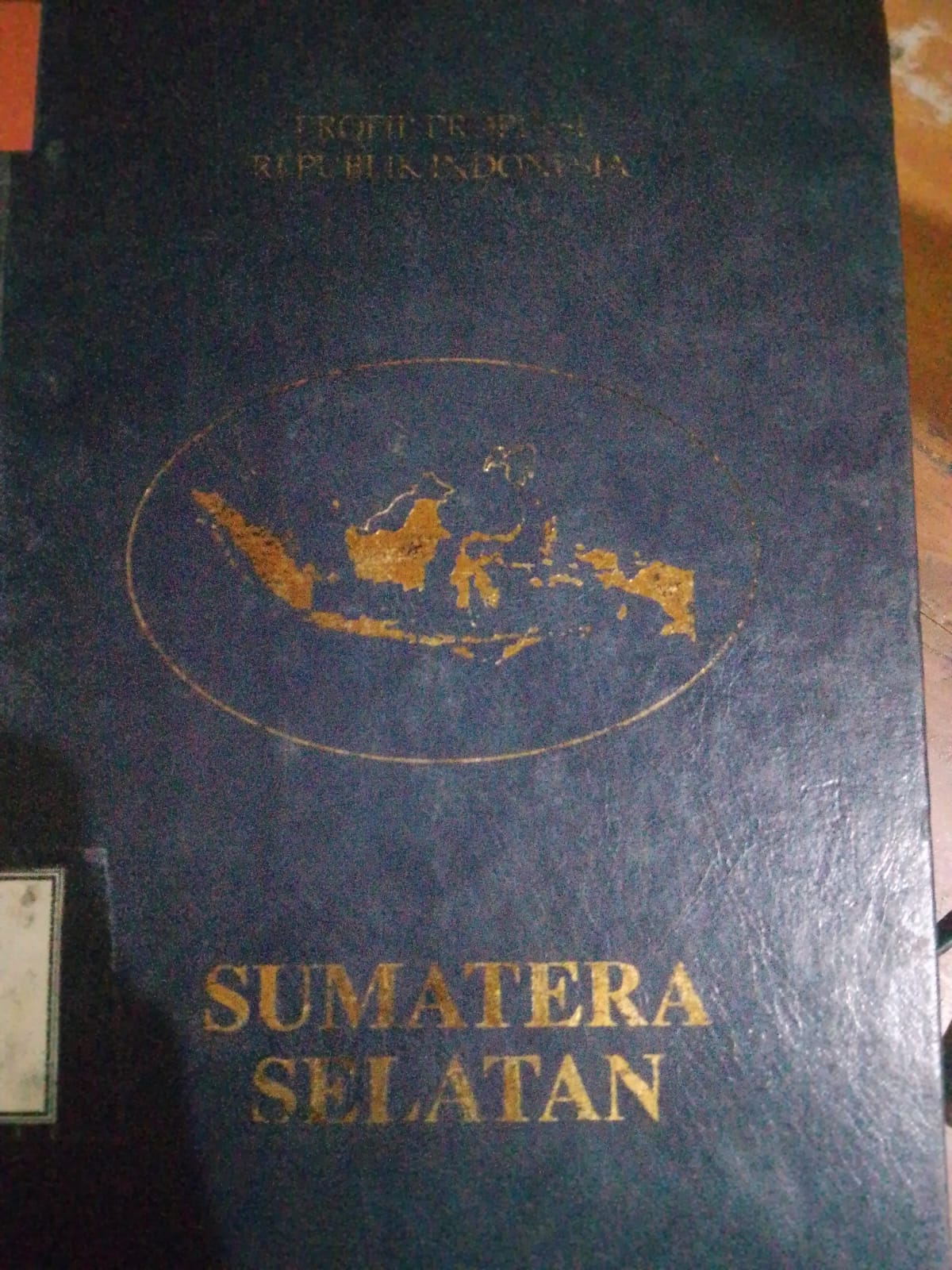 Cover Profil Profinsi Republik Indonesia di Wilayah Sumatra Selatan / Sitti Djanewear Bustami Aman