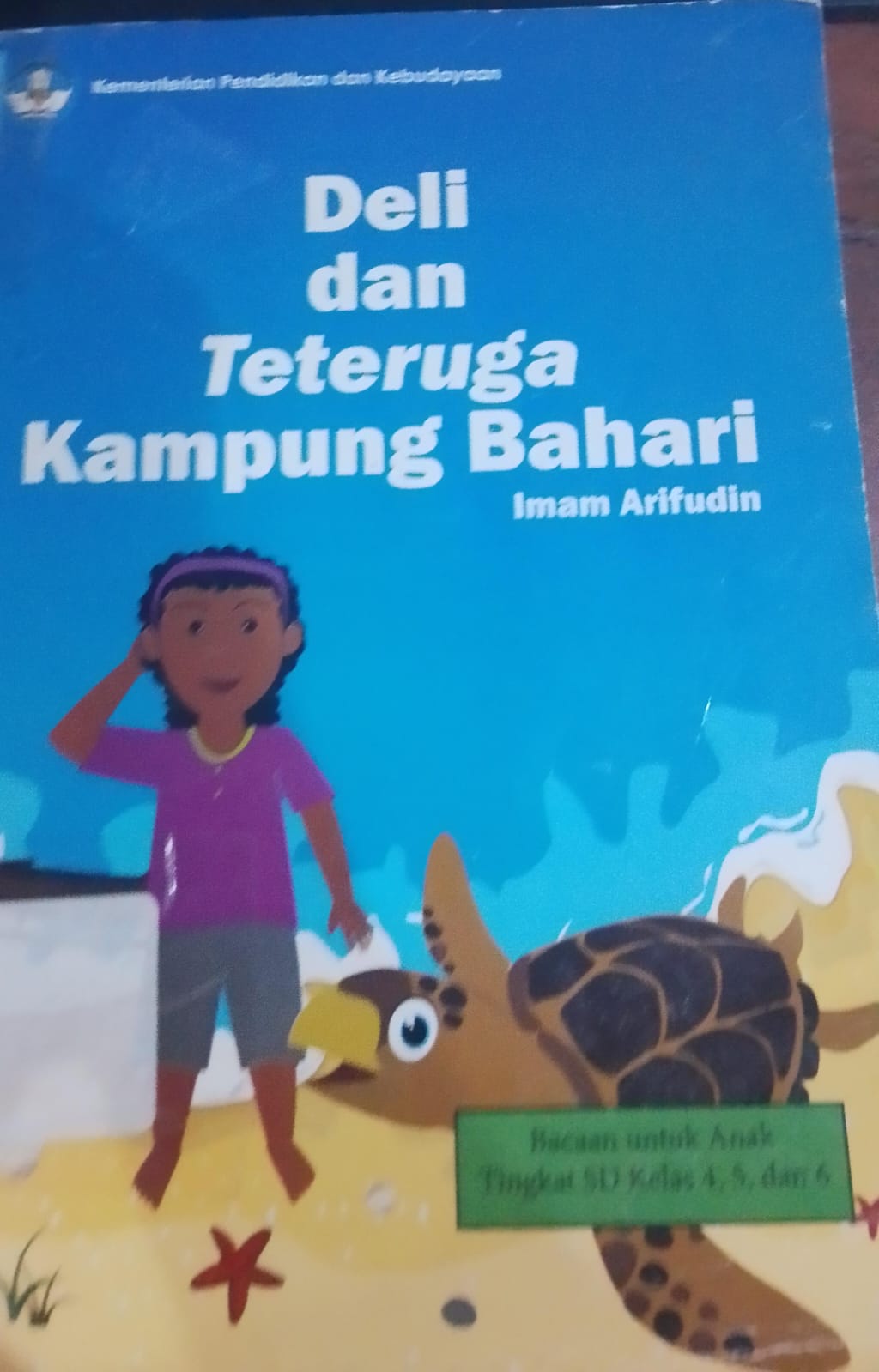 Cover Deli Dan Teteruga Kampung Bahari