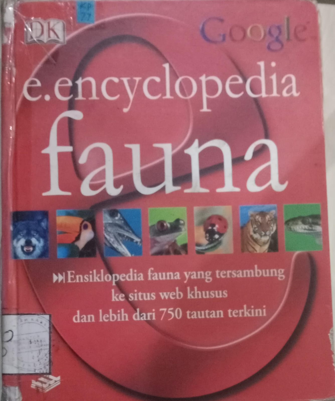 Cover E.Encyclopedia Fauna / Surla,Jamiljka