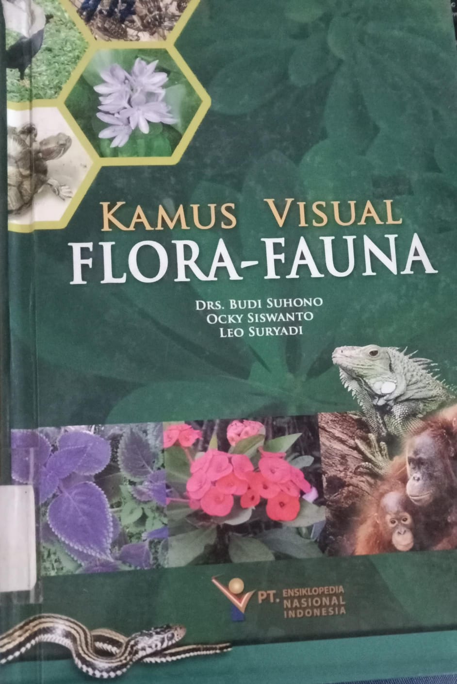 Cover Kamus Visual Flora-Fauna / Suhono,Budi