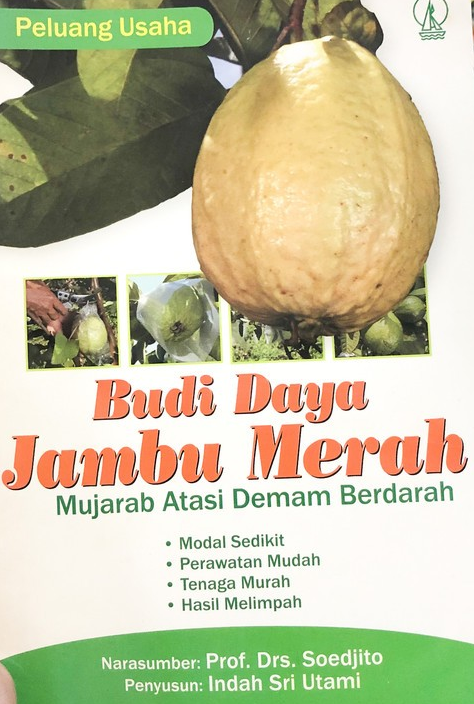 Cover Peluang Usaha Budi Daya Jambu Merah :  Mujarab Atasi Demam Berdarah / Indah Sri Utami