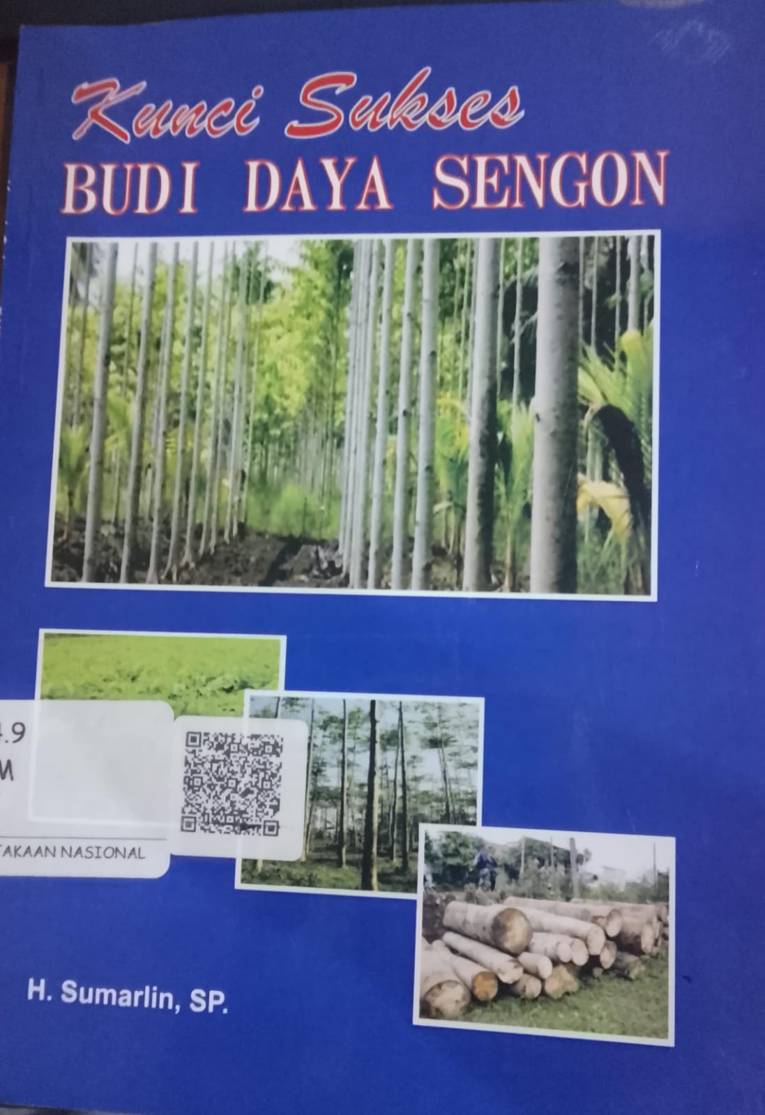 Cover Kunci Sukses Budi Daya Sengon / Sumarlin