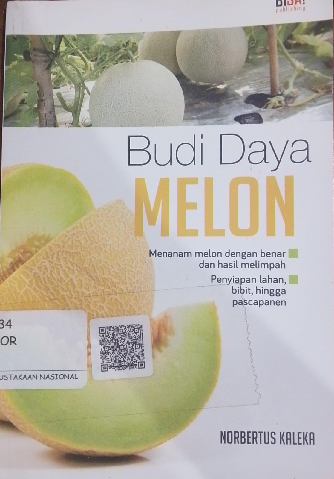 Cover Budi Daya Melon / Norbertus Kaleka