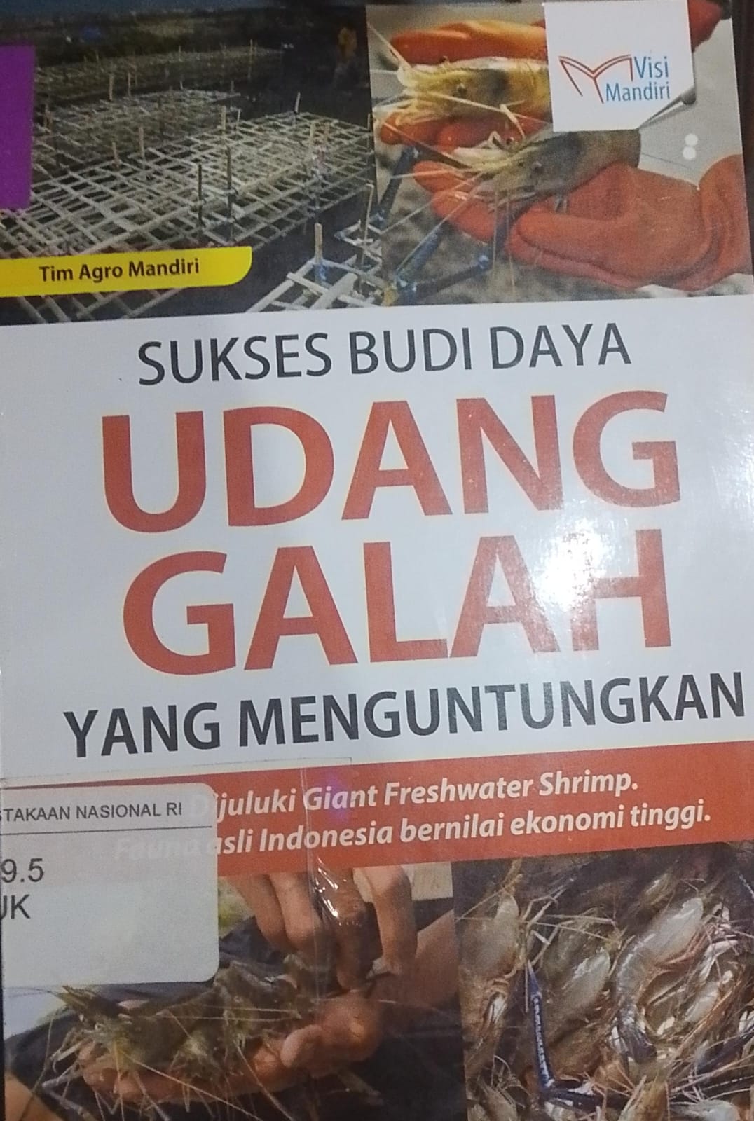 Cover Sukses Budi Daya Udang Galah Yang Menguntungkan / Tim Agro Mandiri