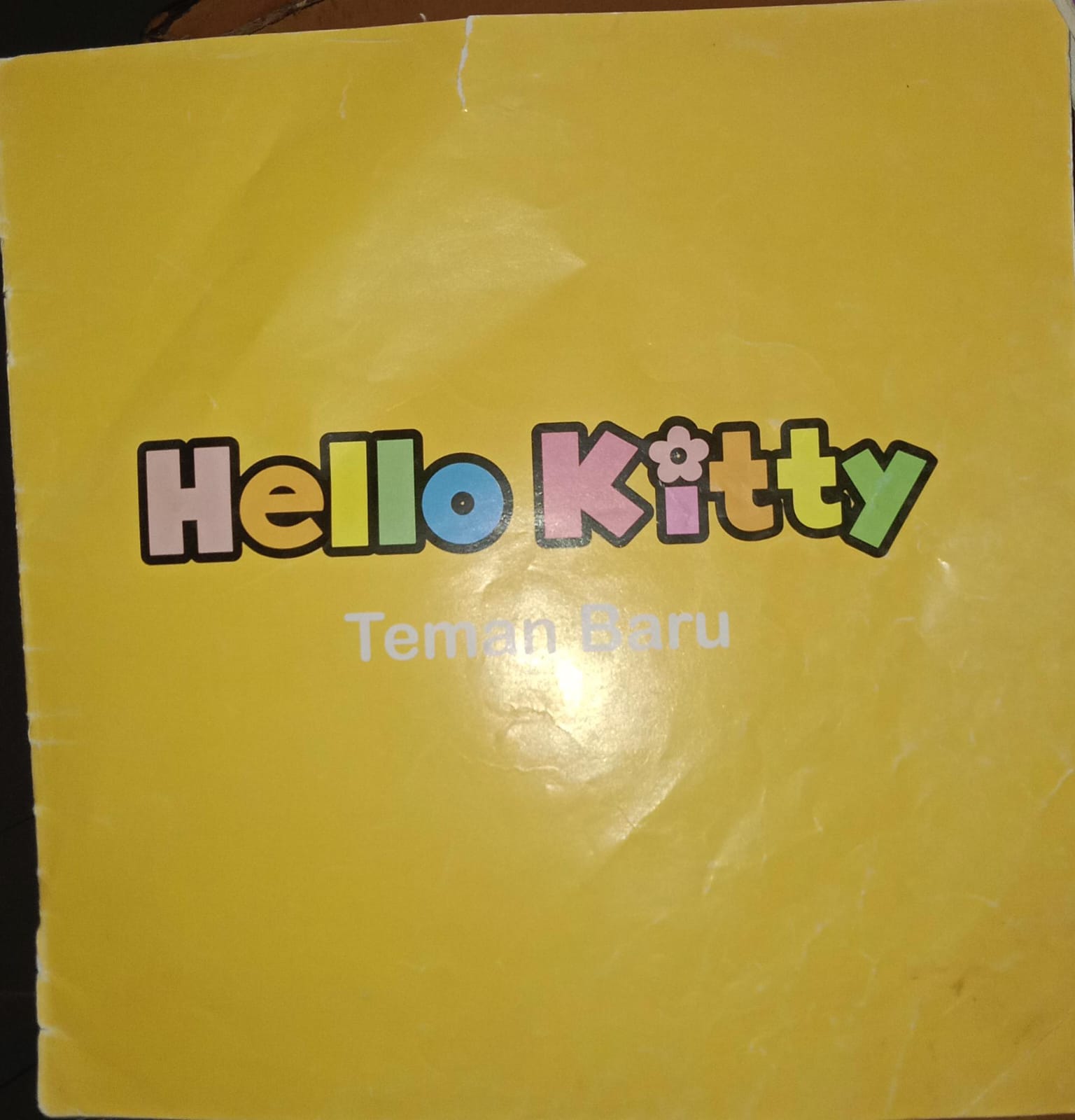 Cover Hello Kitty teman Baru